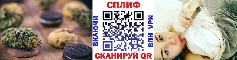где купить наркоту  Александровское  Cannafood конопля 