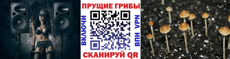 Галлюциногенные грибы Magic Shrooms Александровское