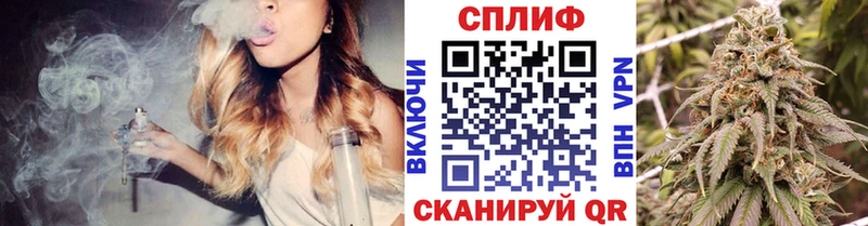 Конопля план где купить наркотик Александровское